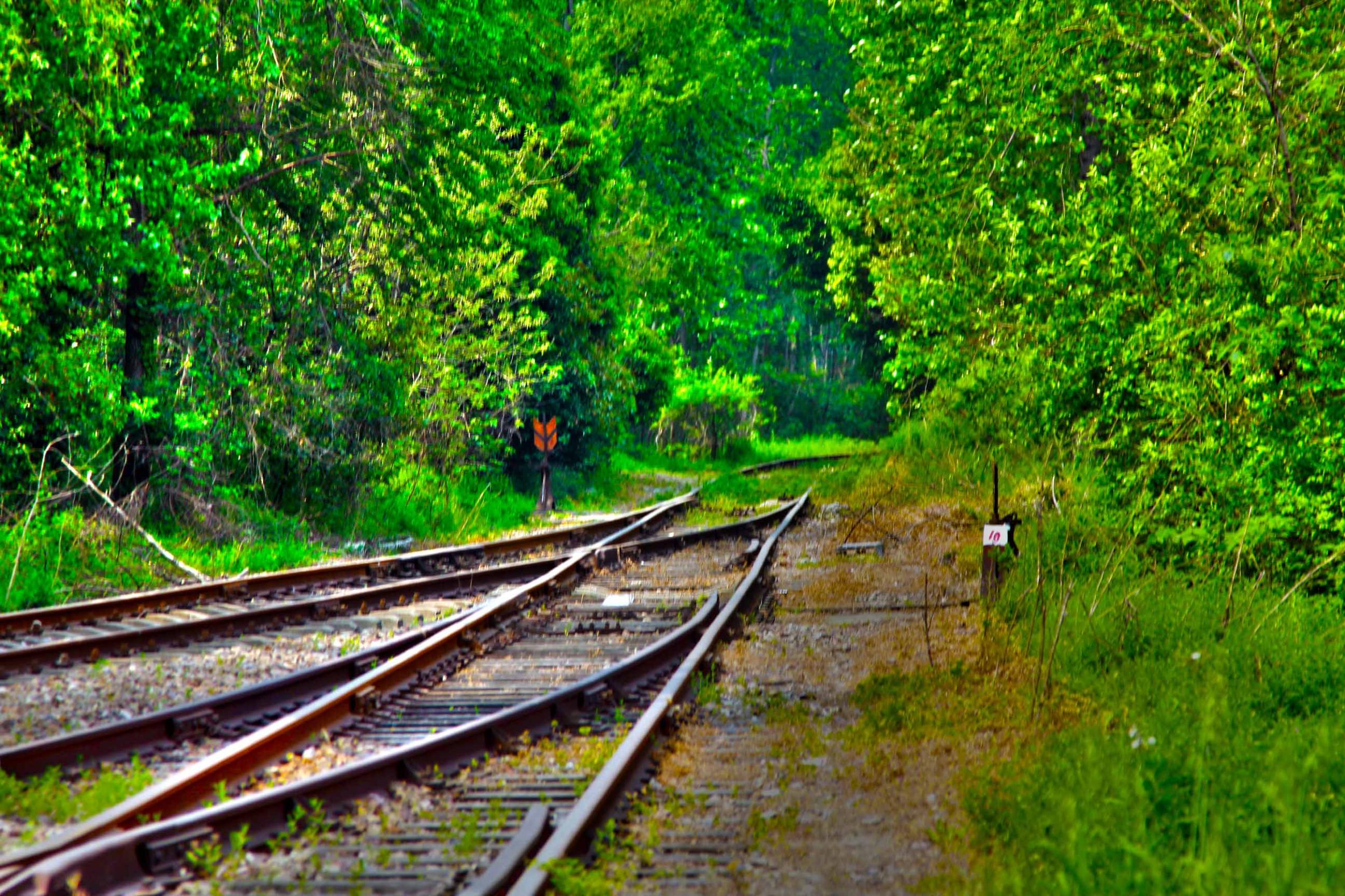 我省今年年內有4條鐵路線投入運營更多出行選擇！