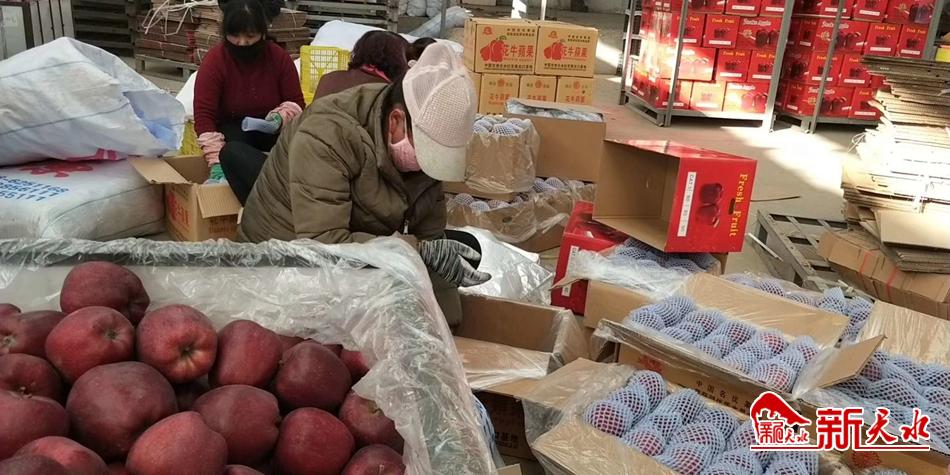 天水“花牛”最近有點“?！?>
        </a><em>天水“花?！弊罱悬c“牛”</em></li>
    <li><a  target=