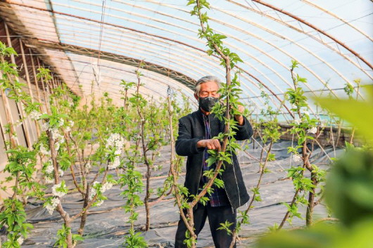 銅城復(fù)蘇：春光明媚，邀你共賞芳華（組圖）