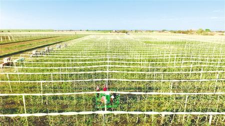 聚焦精準攻堅 做實產業(yè)扶貧——慶陽市脫貧攻堅工作綜述