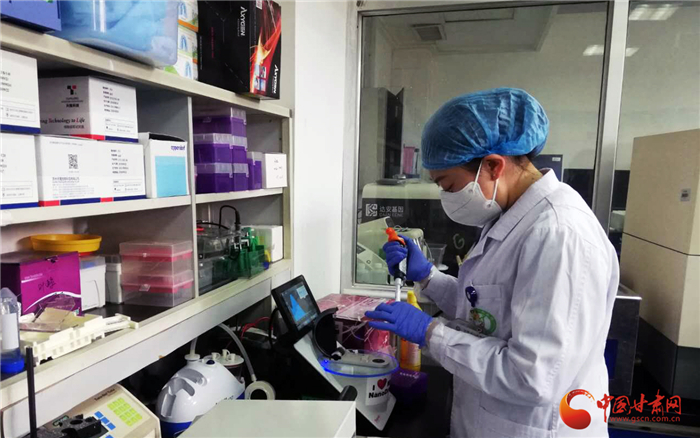 詮釋初心使命 解決重大醫(yī)療問題——甘肅省人民醫(yī)院臨床研究與轉(zhuǎn)化醫(yī)學(xué)研究所抗疫紀(jì)實（圖/視頻）