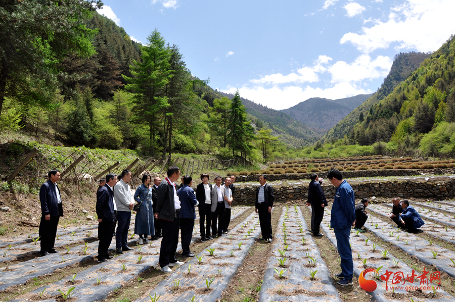 白龍江博峪河保護(hù)局開展產(chǎn)業(yè)發(fā)展、義務(wù)勞動(dòng)成果現(xiàn)場(chǎng)觀摩交流活動(dòng)