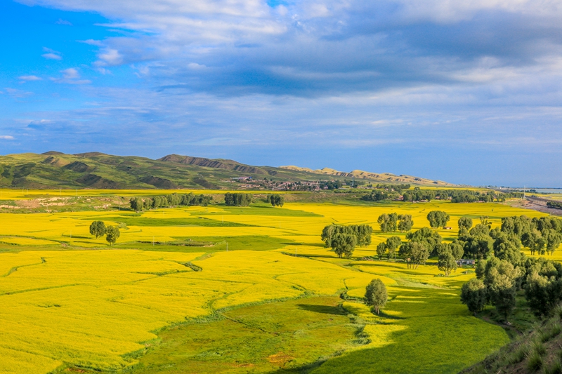 創(chuàng)意海報(bào)丨甘肅的美，你來(lái)了才知道