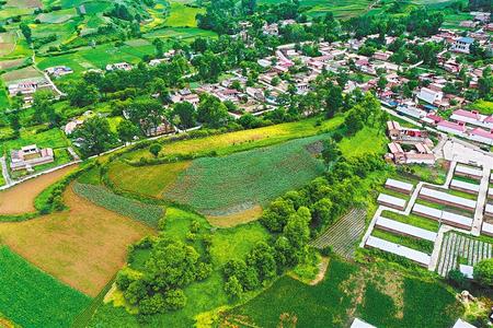 【溫暖的回響 滄桑巨變 飲水思源】這條路，通往幸福