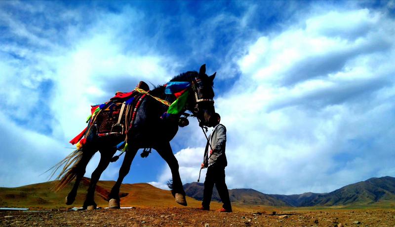 好消息！天祝被命名為“中國(guó)高原走馬之鄉(xiāng)”