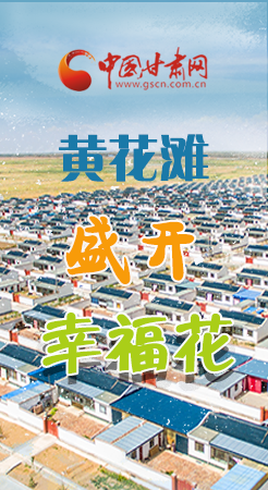 【跟著總書(shū)記看甘肅】長(zhǎng)圖|武威黃花灘盛開(kāi)幸福花 