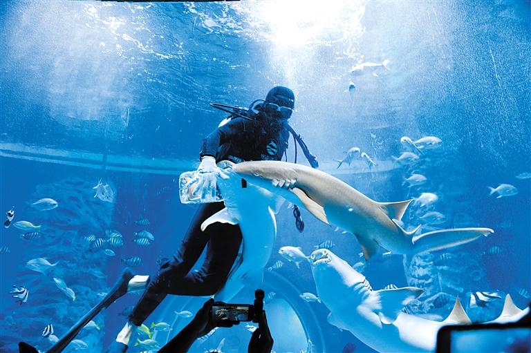 蘭州海洋公園 金昌火星1號(hào)基地 這個(gè)暑假我們“上天入?！?>
        </a><em>蘭州海洋公園 金昌火星1號(hào)基地 這個(gè)暑假我們“上天入?！?/em></li>
    <li><a  target=