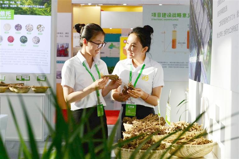 定西，從“千年藥鄉(xiāng)”邁向“中國藥都”