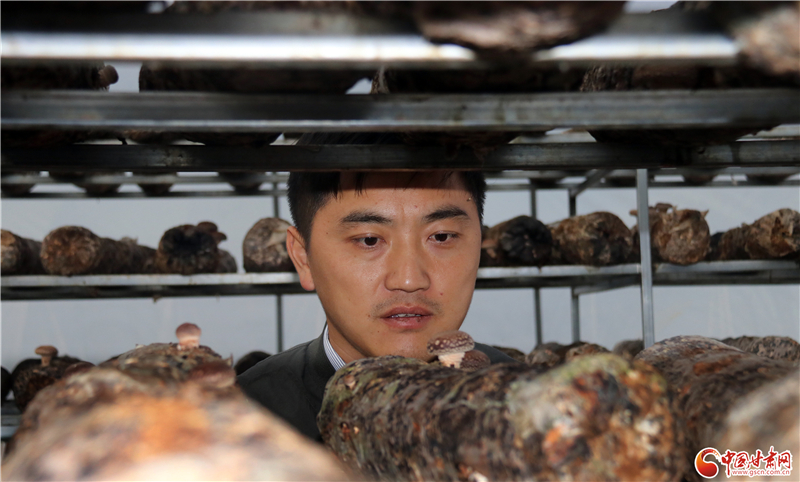 110年！何家溝村終于有了集體經(jīng)濟——中建二局黨建結(jié)對幫扶成效顯著