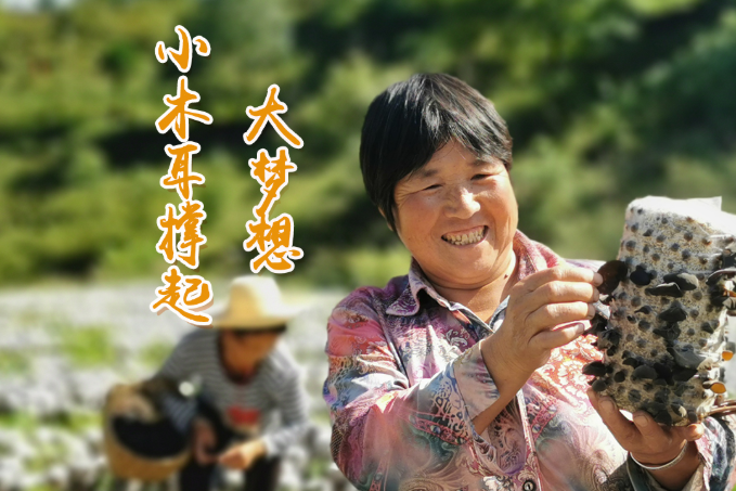 海報(bào)丨他們，乘“豐”破浪！