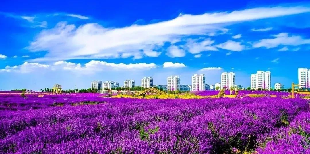 喜訊！金昌蟬聯(lián)全國文明城市