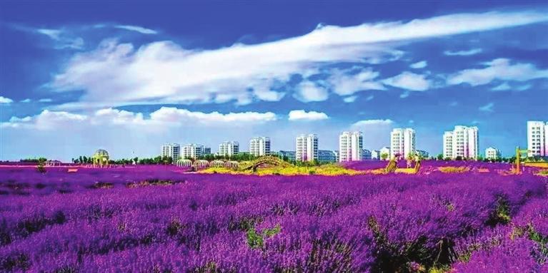 “三連冠”！金昌蟬聯(lián)全國文明城市