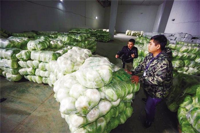 蘭州市已儲備1萬噸冬春蔬菜以耐貯存、易周轉(zhuǎn)品種為主