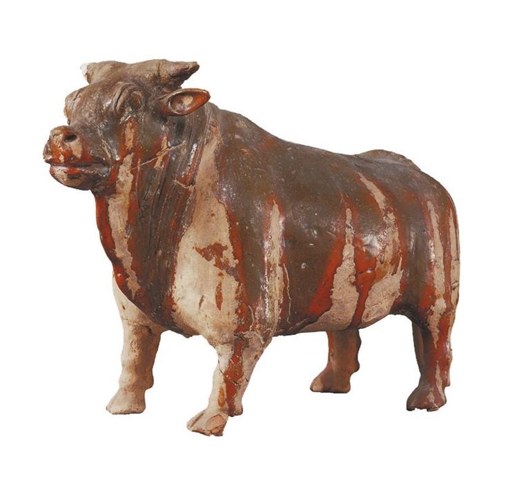 打開眼界丨牛年看牛，越看越牛!