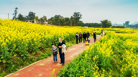 游客在花海里踏青。廖濤 攝