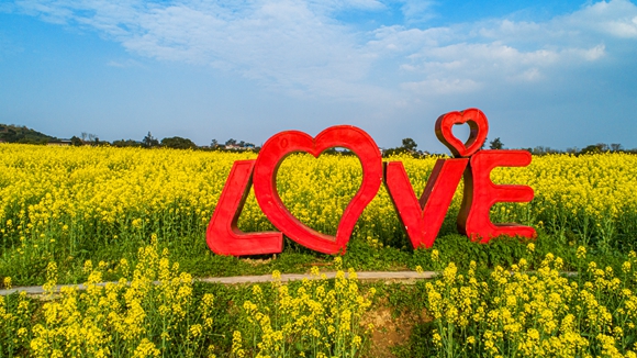 “l(fā)ove”創(chuàng)意拍照墻。廖濤 攝