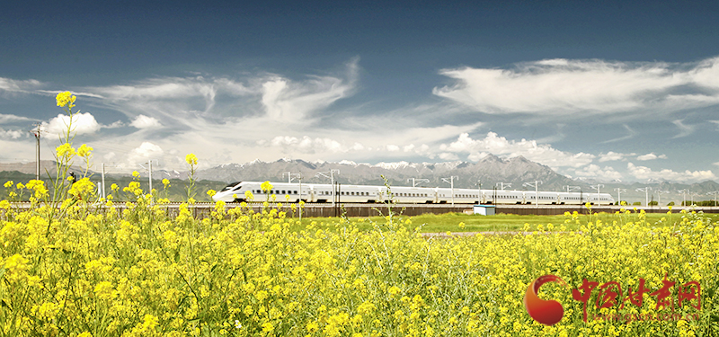 坐上火車“邂逅”春天，你可以這樣享“鐵路游”