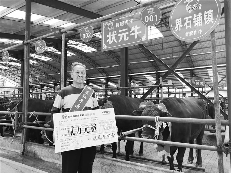 120頭“平?jīng)黾t?！膘o寧爭(zhēng)霸