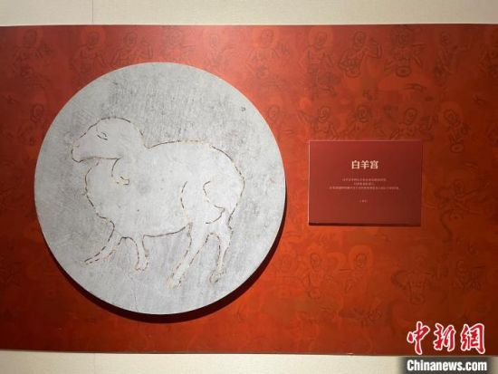 圖為展覽現(xiàn)場。　江楊燁 攝