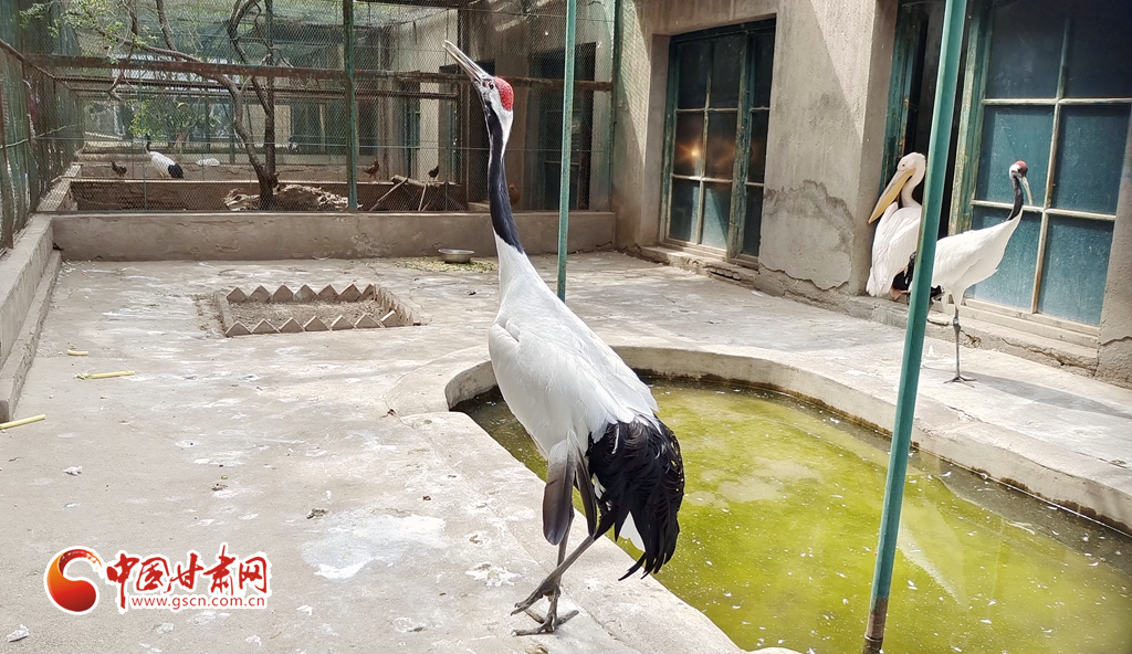 蘭州公安提醒市民：非緊急非必要，不出境