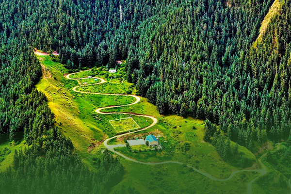 海報(bào)|祁連山保護(hù)區(qū)生態(tài)環(huán)境問(wèn)題整改全面完成！