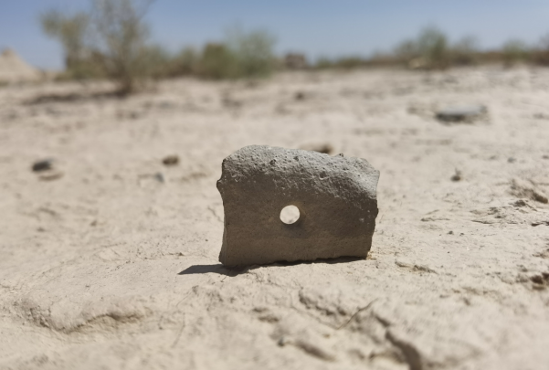 插圖1：河西走廊上遺存的古陶片。攝影：陳曉斌。拍攝日期：2020年6月。