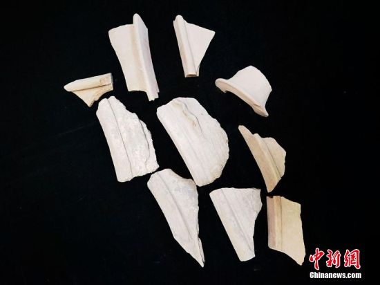 圖為靜寧縣賈河鄉(xiāng)竇坪村出土的彩陶片、紅陶片。 夏劍鋒 攝