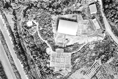 1648163297168876.jpg 01.jpg