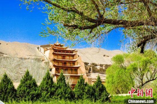 4月的敦煌莫高窟景區(qū)春意盎然。(資料圖) 王斌銀 攝