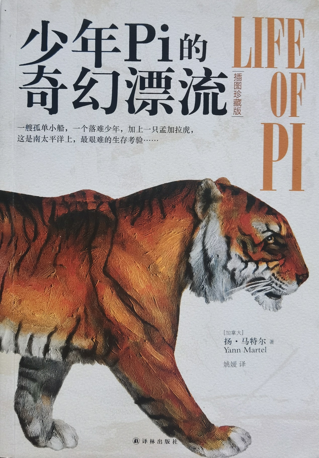 插圖1：揚(yáng)？馬特爾的小說《少年pi的奇幻漂流》封面