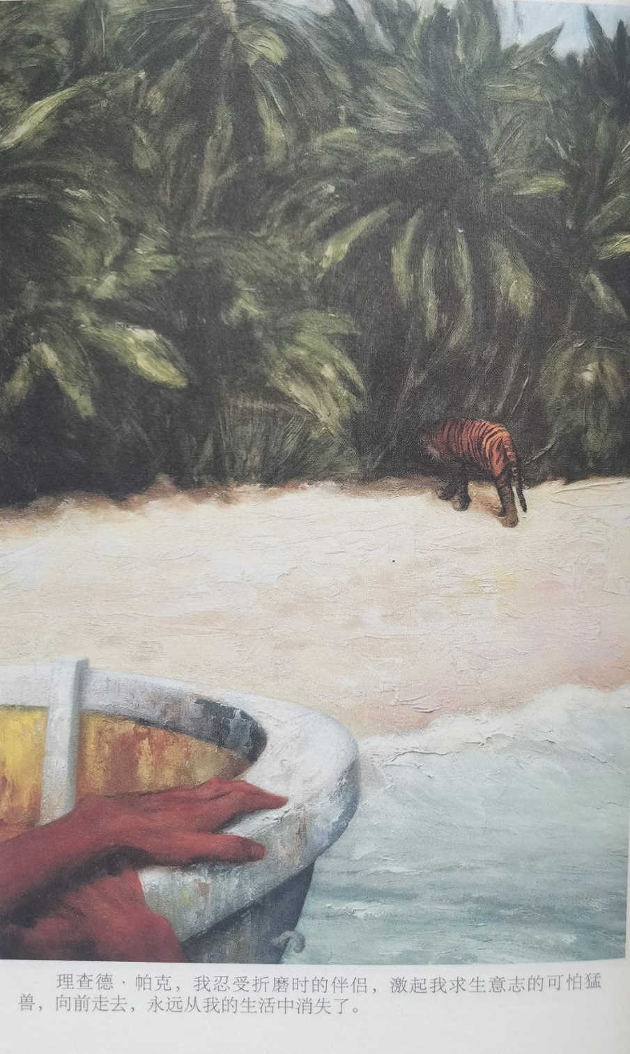 插圖3：揚(yáng)？馬特爾的小說《少年pi的奇幻漂流》插圖