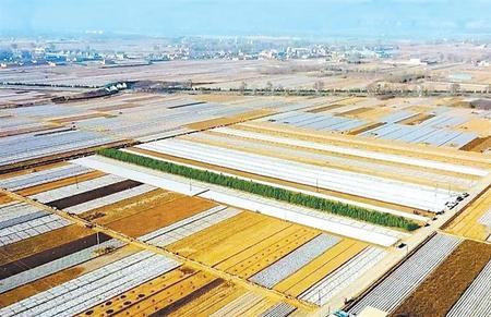 “喚醒”撂荒地 播種希望田——定西臨洮縣治理撂荒地的探索實踐