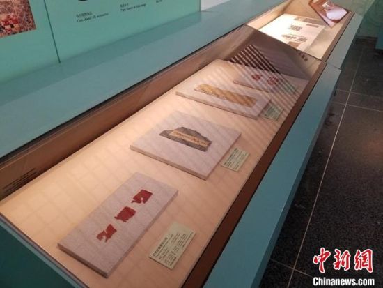 圖為展覽現(xiàn)場(chǎng)?！《鼗脱芯吭汗﹫D