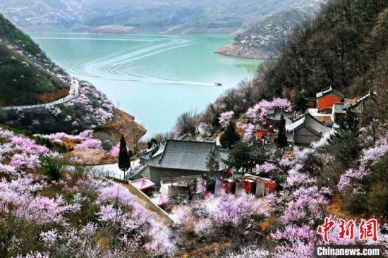 甘肅平?jīng)鍪惺侵袊鴥?yōu)秀旅游城市。圖為平?jīng)鲠轻忌较率锾一ㄊ㈤_。(資料圖) 平?jīng)鍪形麄鞑抗﹫D