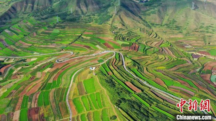 秋日里，榆中縣馬坡鄉(xiāng)千畝梯田，不同農(nóng)作物漸趨成熟，呈現(xiàn)出多種色彩，宛若大地的“調(diào)色盤”。　劉曉波 攝