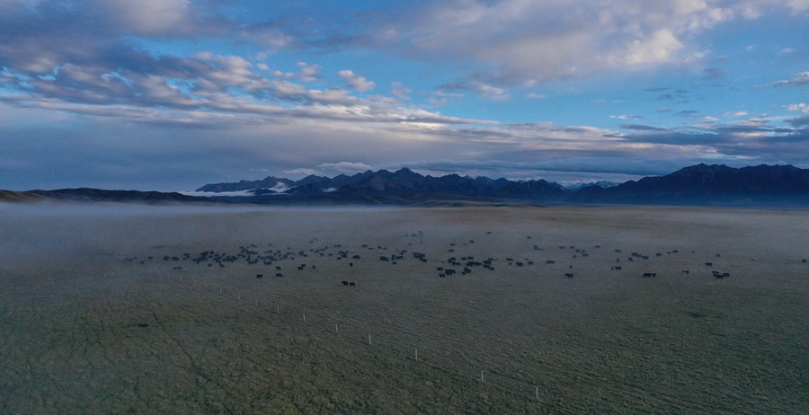 甘肅山丹馬場(chǎng)：峽谷云霧似仙境。 王超攝