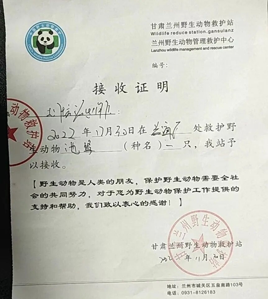 受到救助的池鷺被蘭州野生動物保護站接收。（蘭州市公安局七里河分局供圖）