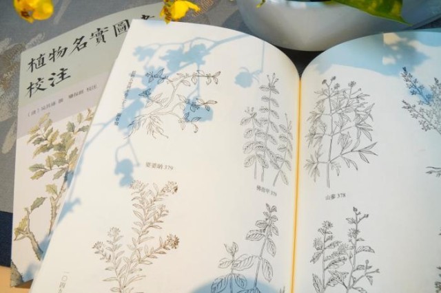 《植物名實(shí)圖考校注》內(nèi)頁。圖片來源：中華書局供圖