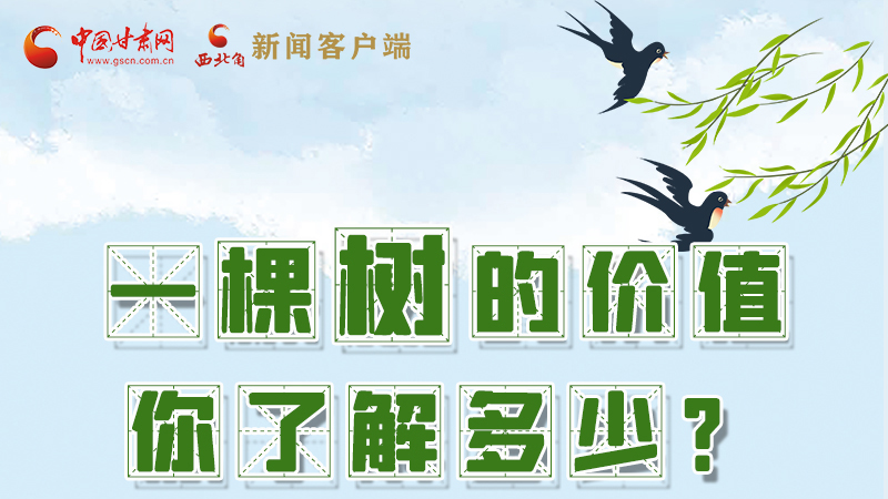 圖解|一棵樹的價值你了解多少?來看！