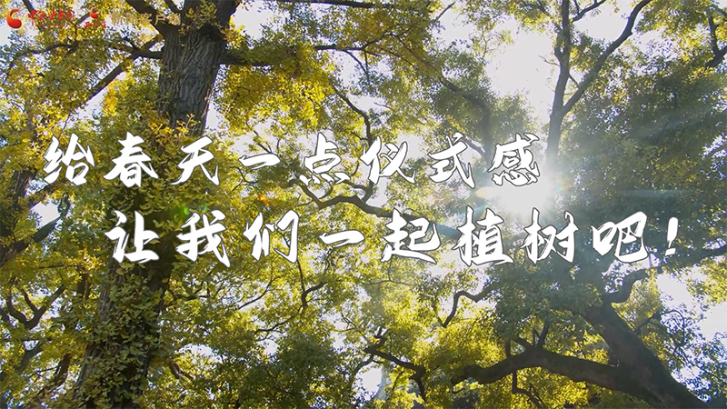 短視頻|給春天一點(diǎn)儀式感，讓我們一起植樹吧！