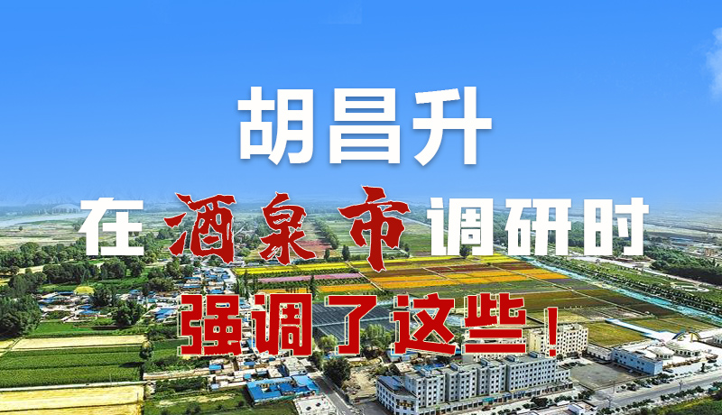 圖解|胡昌升在酒泉市調(diào)研時強(qiáng)調(diào)了這些!