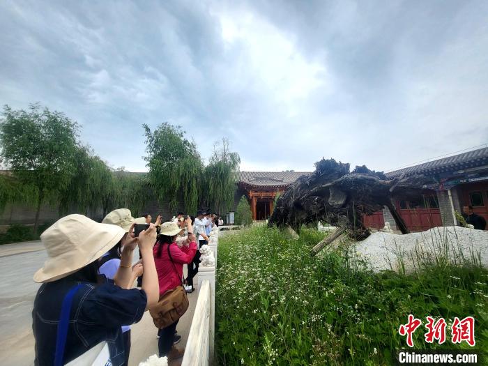 圖為媒體記者在青海永錄民俗參觀采訪?！⊙Φ?攝