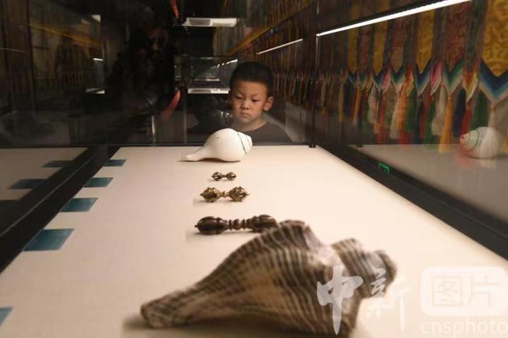 圖為展出的“白海螺法器”吸引小觀眾。 中新社記者 戴文昌 攝