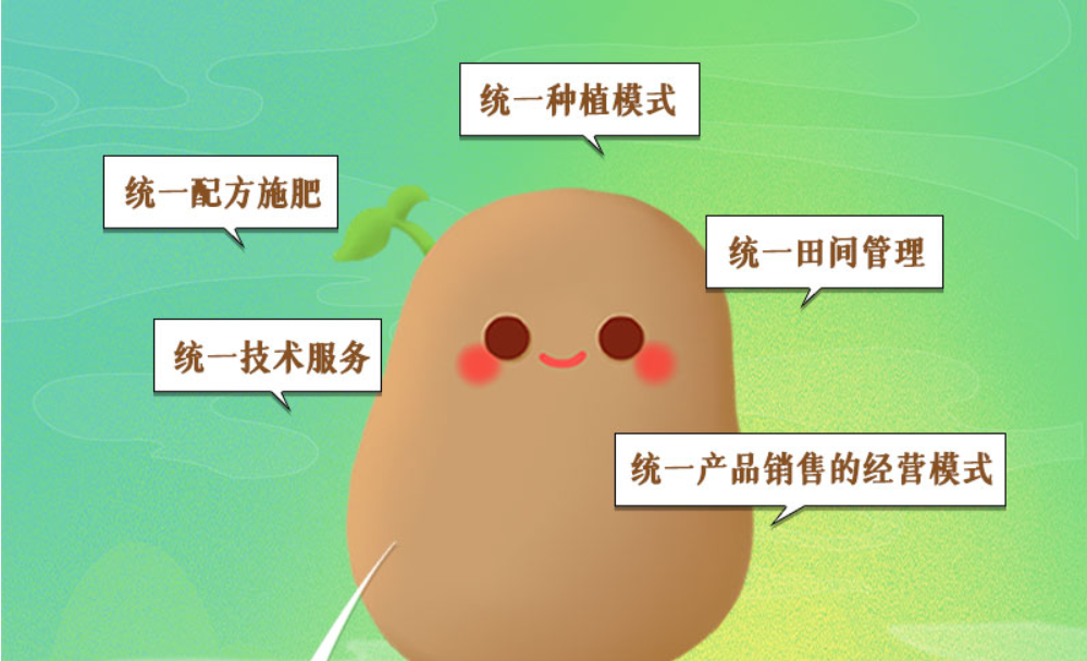 長圖丨甘肅馬鈴薯“升值記”：一顆土豆撬動一個(gè)產(chǎn)業(yè)