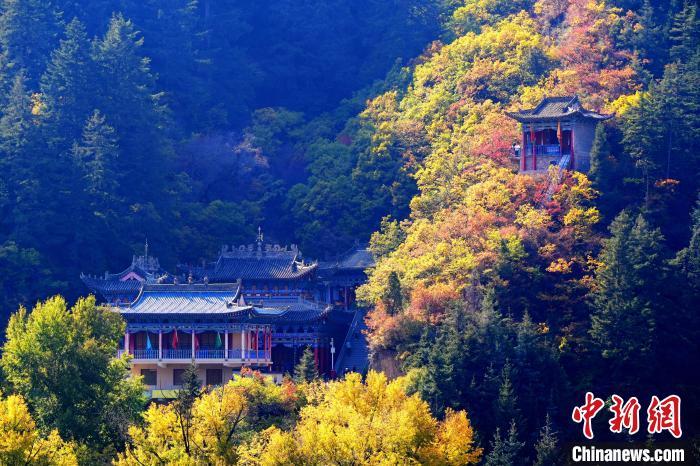 深秋，位于蘭州市榆中縣的興隆山景色如畫(huà)。宮衛(wèi)紅 攝