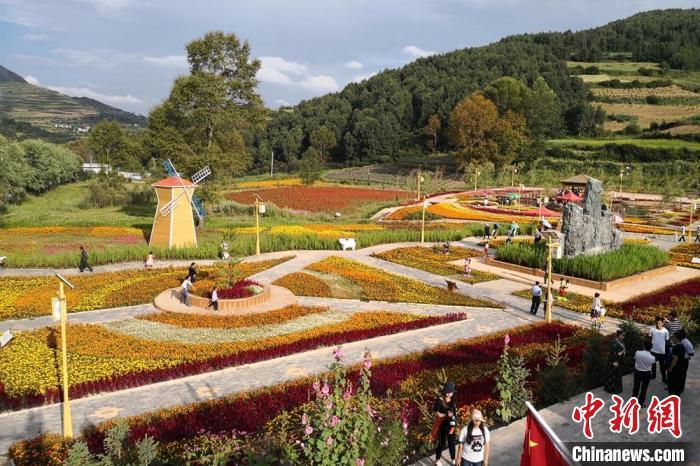 圖為航拍甘肅甘南臨潭縣八角鎮(zhèn)，花海吸引游人。(資料圖)高展 攝