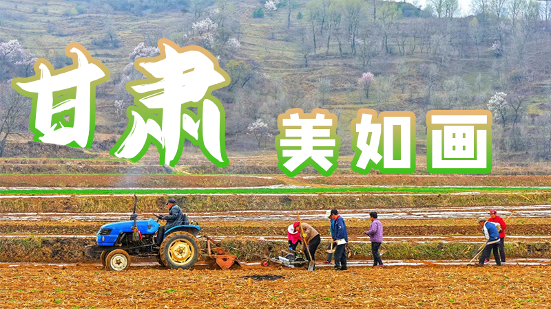 微海報|甘肅，美如畫