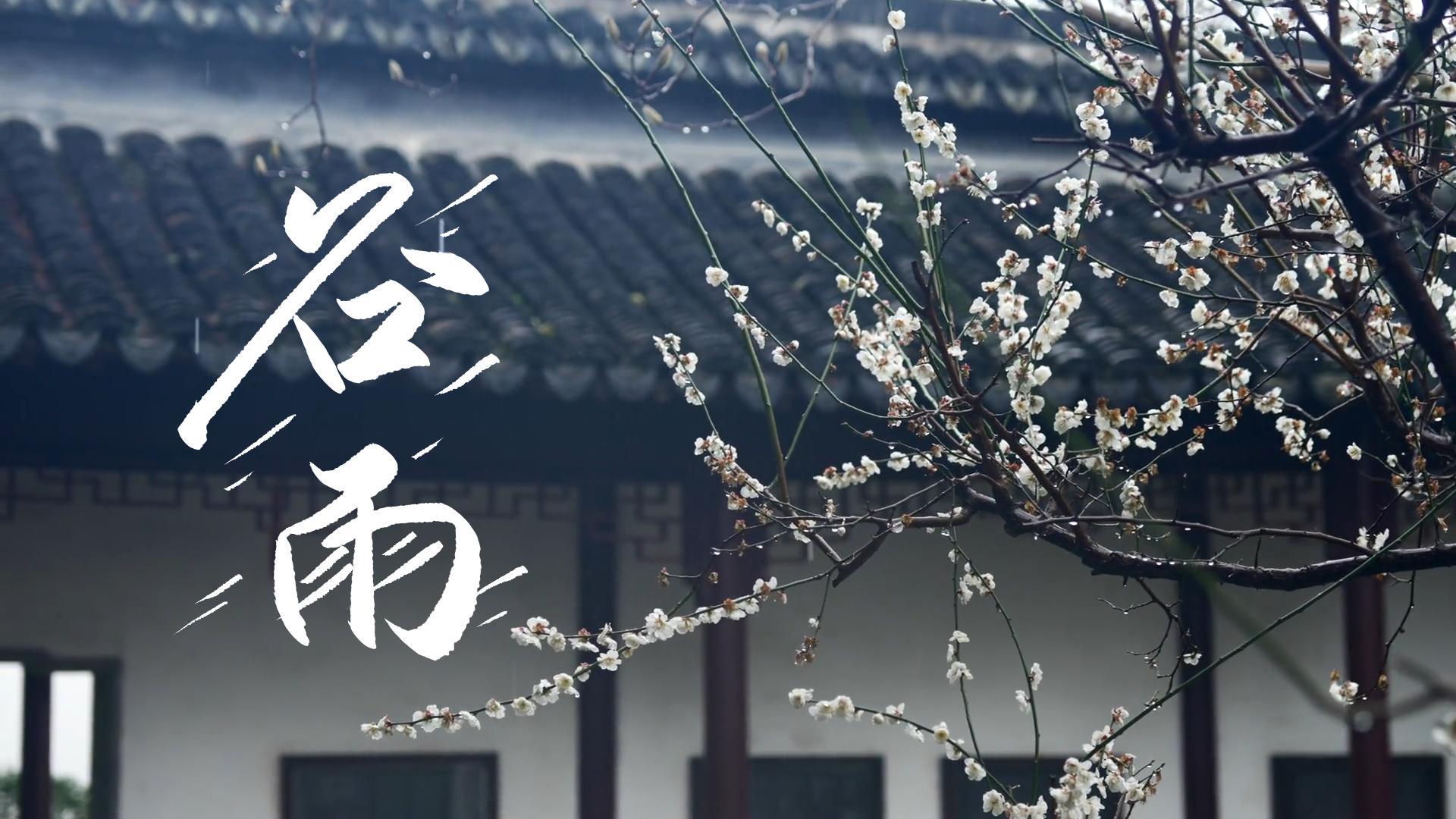 【節(jié)氣里的大美甘肅】谷雨，春天的最后一次回眸