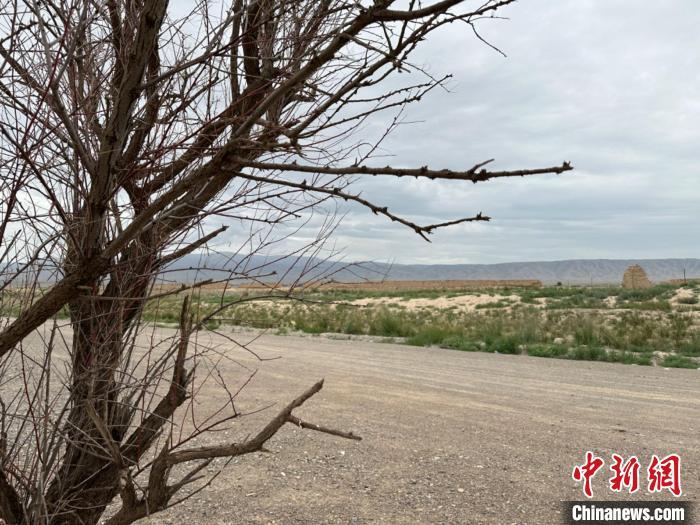 圖為位于長城墻體上的“馬面”或“敵臺”。　戴文昌 攝