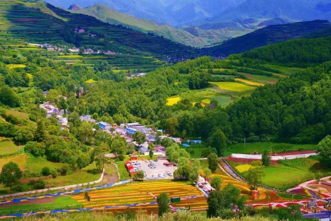 冶力關旅游區(qū)內(nèi)的梯田花海